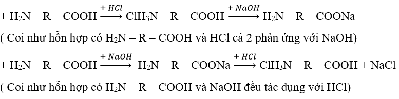 4 dạng bài tập về Amino axit trong đề thi Đại học (có lời giải) | Hóa học lớp 12