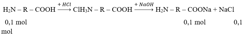 4 dạng bài tập về Amino axit trong đề thi Đại học (có lời giải) | Hóa học lớp 12