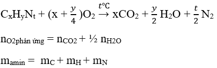 7 dạng bài tập về Amin trong đề thi Đại học (có lời giải) | Hóa học lớp 12