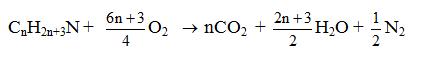 Cách xác định công thức phân tử Amin, Amino Axit dựa vào phản ứng cháy hay, chi tiết | Lý thuyết và Bài tập Hóa học 12 có đáp án