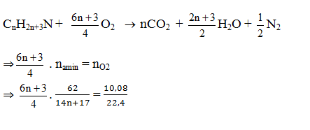 Cách xác định công thức phân tử Amin, Amino Axit dựa vào phản ứng cháy hay, chi tiết | Lý thuyết và Bài tập Hóa học 12 có đáp án