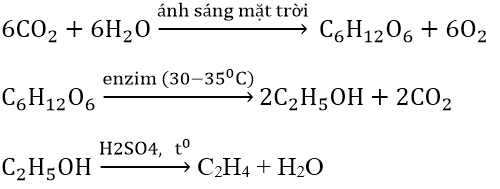 Hóa học lớp 12 | Lý thuyết và Bài tập Hóa học 12 có đáp án