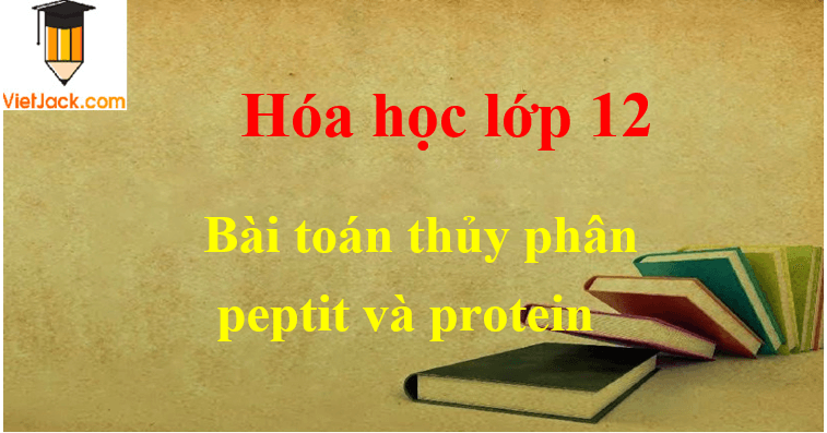 Bài tập thủy phân peptit và protein và cách giải