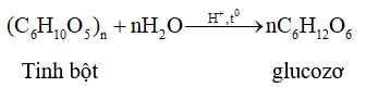 Bài tập về phản ứng thủy phân saccarozơ, tinh bột, xenlulozơ và cách giải