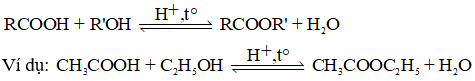 Các dạng bài toán phản ứng este hóa và cách giải