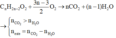 Các dạng bài toán đốt cháy este và cách giải