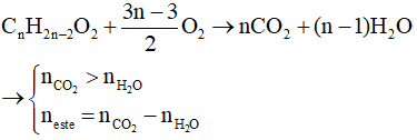 Các dạng bài toán đốt cháy este và cách giải