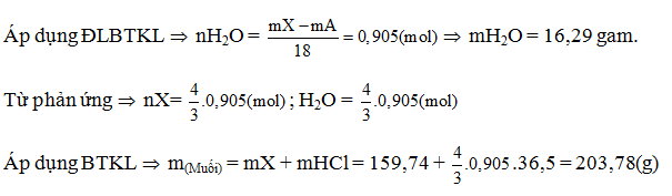 Các phản ứng màu đặc trưng của protein | Lý thuyết và Bài tập Hóa học 12 có đáp án