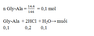 Các phản ứng màu đặc trưng của protein | Lý thuyết và Bài tập Hóa học 12 có đáp án