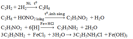 Cách giải bài tập Chuỗi phản ứng Amin, Amino Axit hay, chi tiết | Lý thuyết và Bài tập Hóa học 12 có đáp án