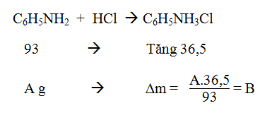 Dạng bài tập phản ứng cháy của Amin, Amino Axit | Lý thuyết và Bài tập Hóa học 12 có đáp án