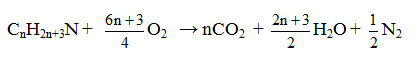 Cách giải bài tập phản ứng cháy của Amin, Amino Axit hay, chi tiết | Lý thuyết và Bài tập Hóa học 12 có đáp án