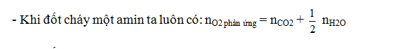 Cách giải bài tập phản ứng cháy của Amin, Amino Axit hay, chi tiết | Lý thuyết và Bài tập Hóa học 12 có đáp án
