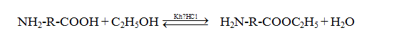 Cách giải bài tập phản ứng este hóa của Amino Axit hay, chi tiết | Lý thuyết và Bài tập Hóa học 12 có đáp án
