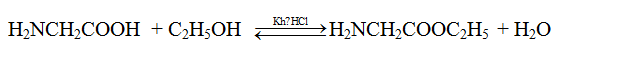 Cách giải bài tập phản ứng este hóa của Amino Axit hay, chi tiết | Lý thuyết và Bài tập Hóa học 12 có đáp án
