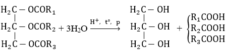 Cách giải bài tập phản ứng thủy phân lipit hay, chi tiết | Hóa học lớp 12