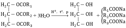 Cách giải bài tập phản ứng thủy phân lipit hay, chi tiết | Hóa học lớp 12