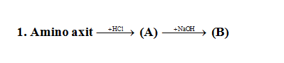 Cách giải bài tập tính lưỡng tính của Amino Axit hay, chi tiết | Lý thuyết và Bài tập Hóa học 12 có đáp án