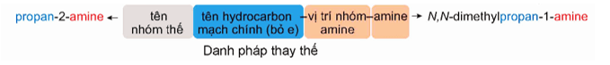 Danh pháp thay thế là gì/ tên thay thế là gì (chi tiết nhất)