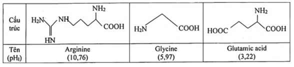 Điểm đẳng điện là gì (chi tiết nhất)