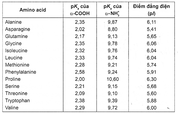 Điểm đẳng điện là gì (chi tiết nhất)