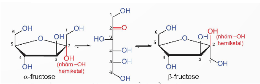 Fructose là gì (chi tiết nhất) (ảnh 1)