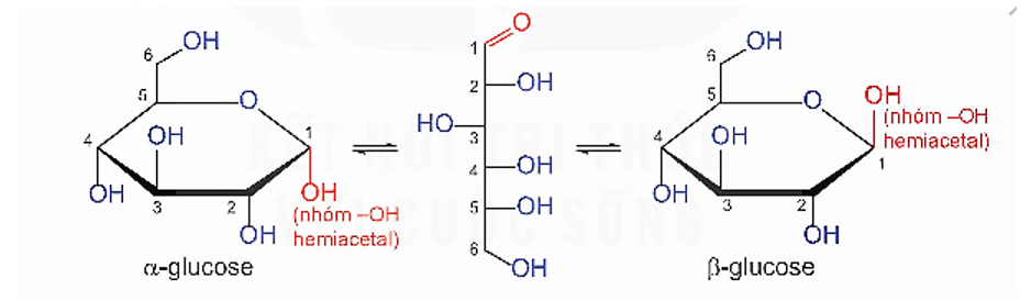 Glucose là gì (chi tiết nhất) (ảnh 1)