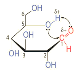 Glucose là gì (chi tiết nhất) (ảnh 2)
