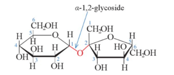 Liên kết α-1,2-glycoside là gì (chi tiết nhất)