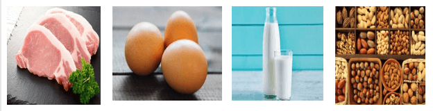 Protein là gì (chi tiết nhất)