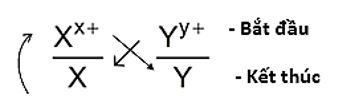 Quy tắc alpha là gì (chi tiết nhất)