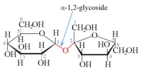 Saccharose là gì (chi tiết nhất) (ảnh 2)