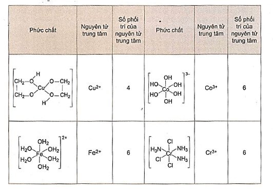 Số phối trí là gì (chi tiết nhất)