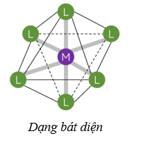 Số phối trí là gì (chi tiết nhất)