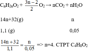 Cách tìm công thức phân tử của este dựa vào phản ứng đốt cháy hay, chi tiết | Hóa học lớp 12