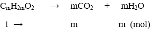 Cách tìm công thức phân tử của este dựa vào phản ứng đốt cháy hay, chi tiết | Hóa học lớp 12