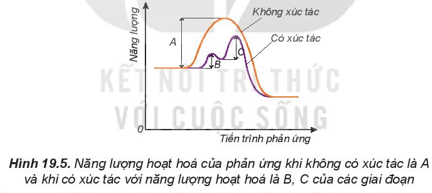 Tốc độ phản ứng là gì (chi tiết nhất)