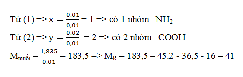 Cách xác định công thức phân tử Amin, Amino Axit dựa vào phản ứng với axit hay, chi tiết | Lý thuyết và Bài tập Hóa học 12 có đáp án