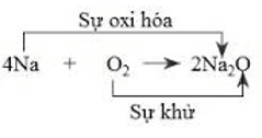 Hóa học lớp 8 | Lý thuyết và Bài tập trắc nghiệm Hóa 8 có đáp án