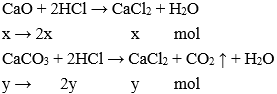 Trắc nghiệm Hóa học 9 Bài 5 (có đáp án): Luyện tập: Tính chất hóa học của oxit và axit