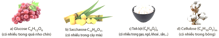Chuyên đề bồi dưỡng HSG Hóa học 9 Carbohydrate (có lời giải) 
