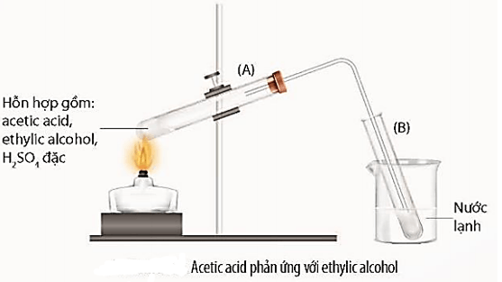 Chuyên đề bồi dưỡng HSG Hóa học 9 Carboxylic acid (có lời giải) 