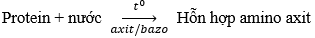 Lý thuyết Hóa 9 53: Protein hay, chi tiết - Lý thuyết Hóa 9