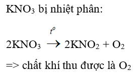 Trắc nghiệm Hóa 9 Bài 10 (có đáp án): Một số muối quan trọng (phần 2)