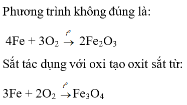 Trắc nghiệm Hóa 9 Bài 19 (có đáp án): Sắt (phần 2)