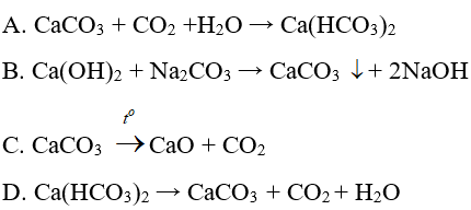 Trắc nghiệm Hóa 9 Bài 28 (có đáp án): Các oxit của cacbon (phần 2)