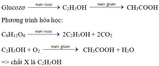 Trắc nghiệm Hóa 9 Bài 46 (có đáp án): Mối liên hệ giữa etilen, rượu etylic và axit axetic (phần 2)