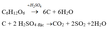 Trắc nghiệm Hóa 9 Bài 5 (có đáp án): Luyện tập: Tính chất hóa học của oxit và axit (phần 2)