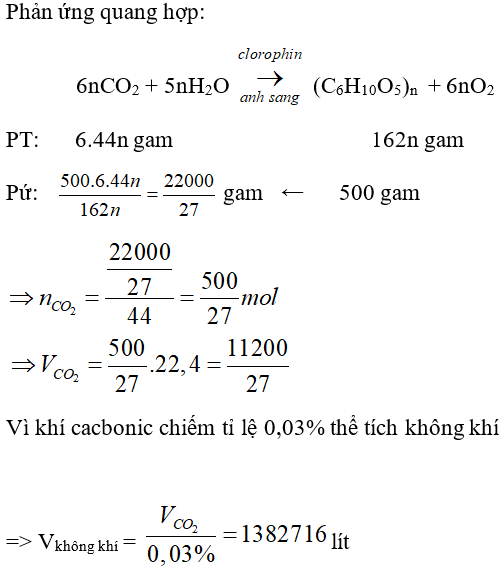 Trắc nghiệm Hóa 9 Bài 52 (có đáp án): Tinh bột và xenlulozơ (phần 2)