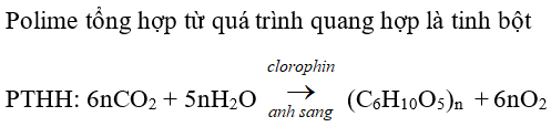 Trắc nghiệm Hóa 9 Trắc nghiệm Hóa 9 Bài 54 (có đáp án): Polime (phần 2)